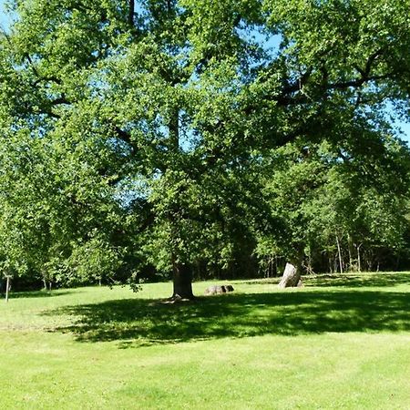 Gite En Brenne Les Chenes Merigny 外观 照片