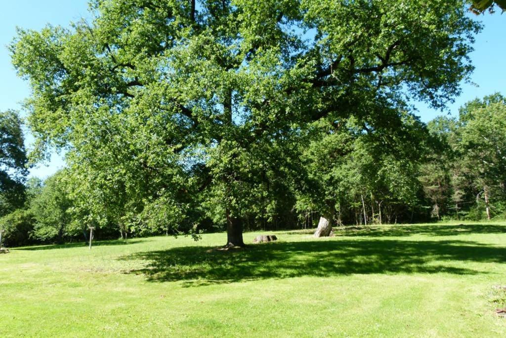 Gite En Brenne Les Chenes Merigny 外观 照片